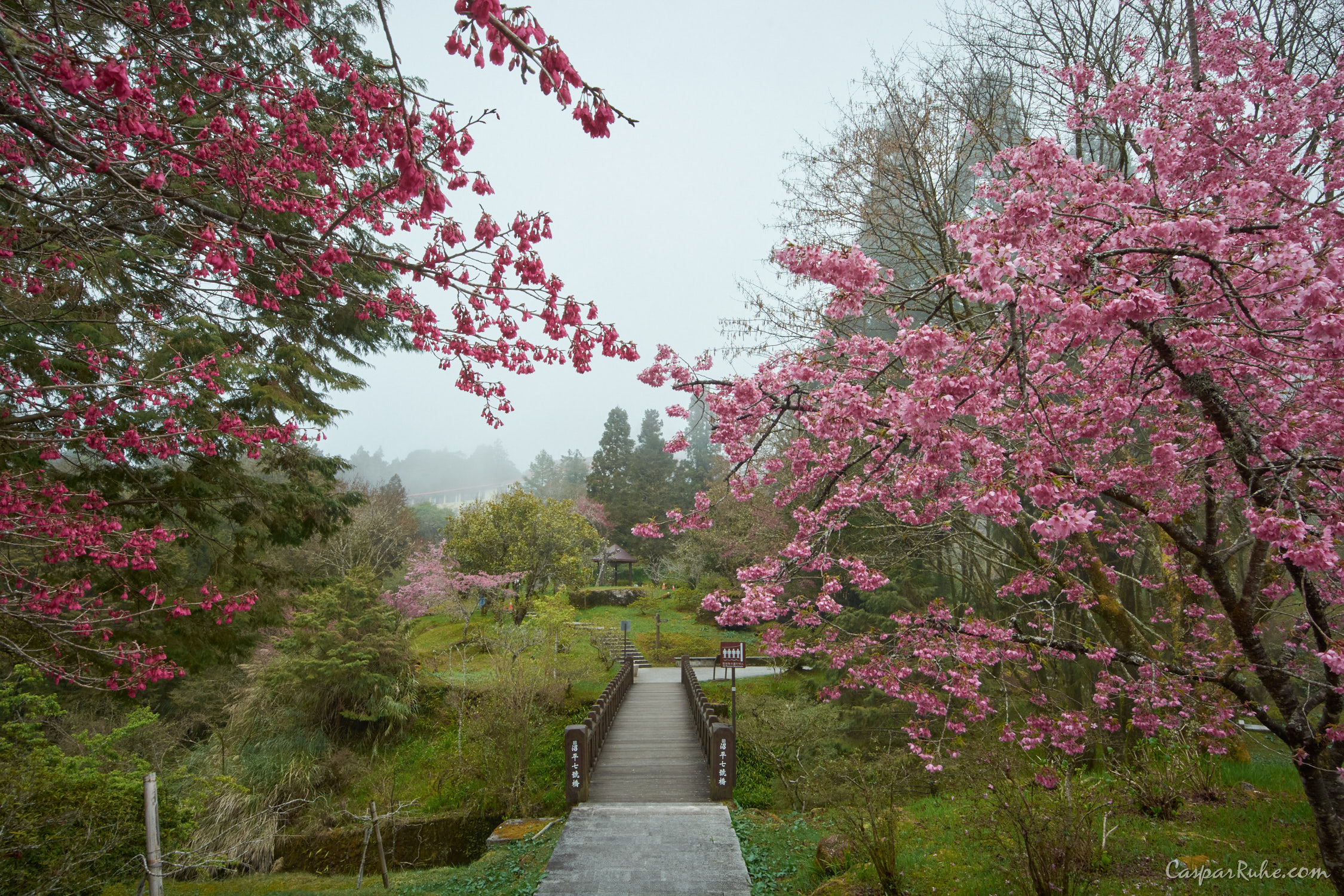 Alishan